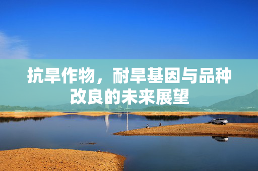 抗旱作物,耐旱基因与品种改良的未来展望
