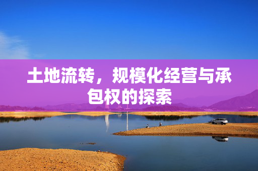 土地流转,规模化经营与承包权的探索