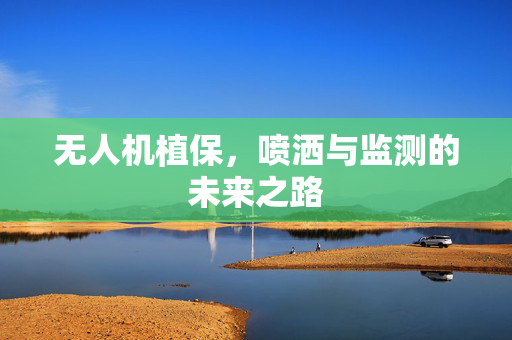 无人机植保,喷洒与监测的未来之路