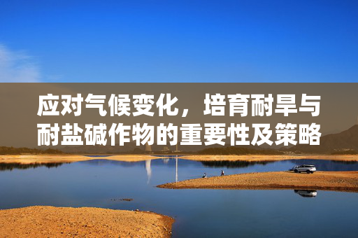 应对气候变化,培育耐旱与耐盐碱作物的重要性及策略