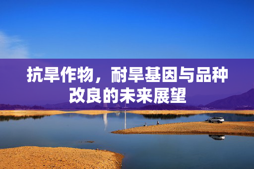 抗旱作物,耐旱基因与品种改良的未来展望