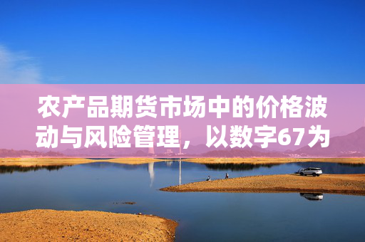 农产品期货市场中的价格波动与风险管理,以数字67为例