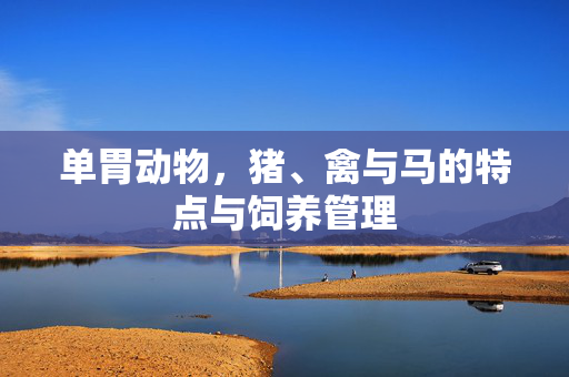 单胃动物,猪、禽与马的特点与饲养管理