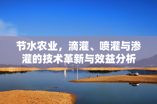 节水农业,滴灌、喷灌与渗灌的技术革新与效益分析