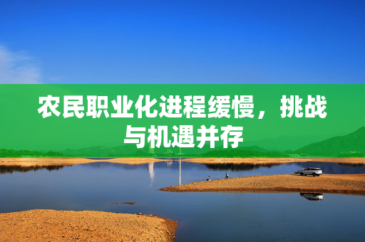 农民职业化进程缓慢,挑战与机遇并存
