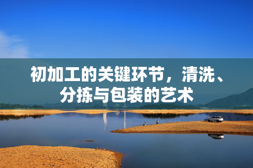 初加工的关键环节，清洗、分拣与包装的艺术