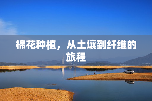 棉花种植,从土壤到纤维的旅程