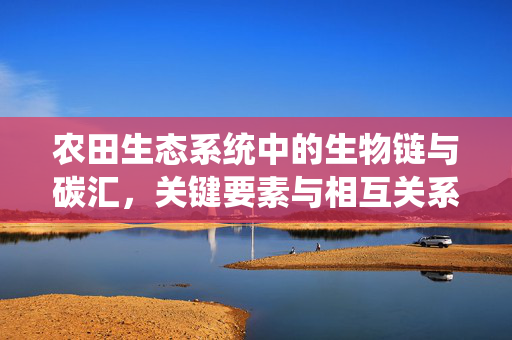 农田生态系统中的生物链与碳汇,关键要素与相互关系