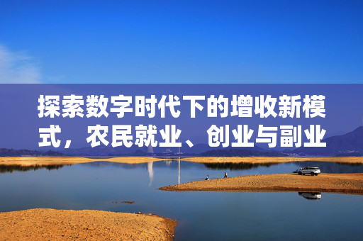 探索数字时代下的增收新模式,农民就业、创业与副业的发展路径