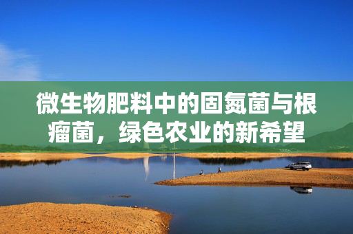 微生物肥料中的固氮菌与根瘤菌,绿色农业的新希望