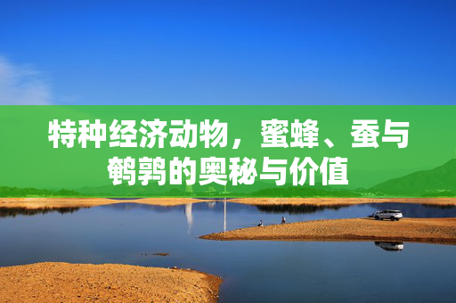 特种经济动物,蜜蜂、蚕与鹌鹑的奥秘与价值