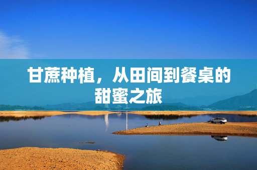 甘蔗种植,从田间到餐桌的甜蜜之旅