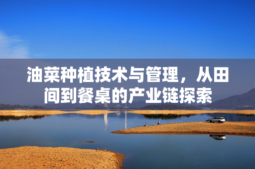 油菜种植技术与管理，从田间到餐桌的产业链探索