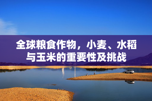 全球粮食作物,小麦、水稻与玉米的重要性及挑战