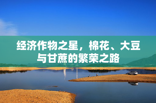 经济作物之星,棉花、大豆与甘蔗的繁荣之路