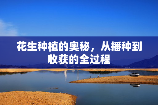 花生种植的奥秘,从播种到收获的全过程
