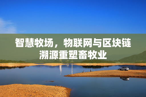 智慧牧场,物联网与区块链溯源重塑畜牧业