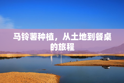 马铃薯种植,从土地到餐桌的旅程