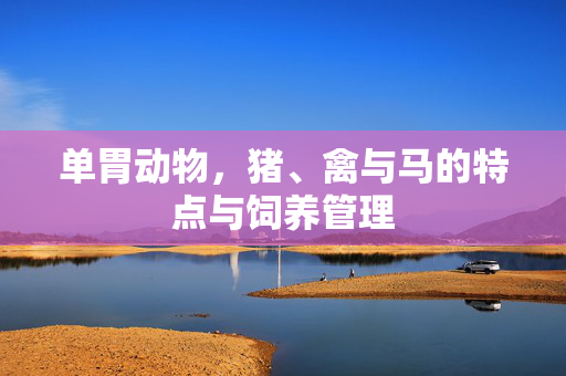 单胃动物,猪、禽与马的特点与饲养管理