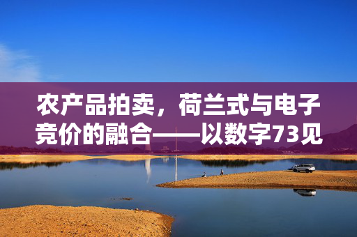 农产品拍卖,荷兰式与电子竞价的融合——以数字73见证变革