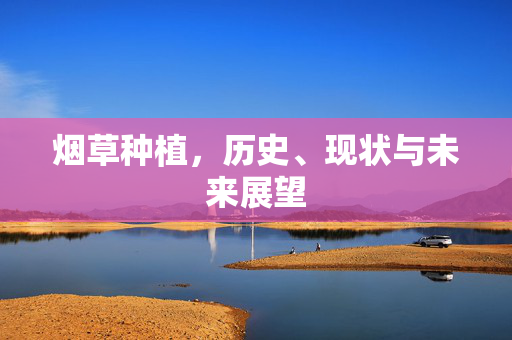 烟草种植,历史、现状与未来展望