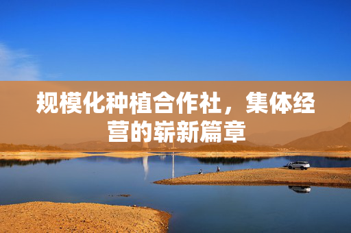规模化种植合作社,集体经营的崭新篇章