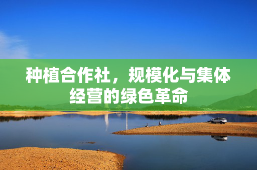 种植合作社,规模化与集体经营的绿色革命
