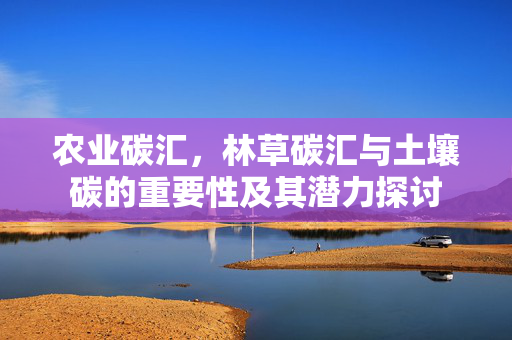 农业碳汇,林草碳汇与土壤碳的重要性及其潜力探讨