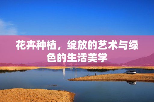 花卉种植,绽放的艺术与绿色的生活美学