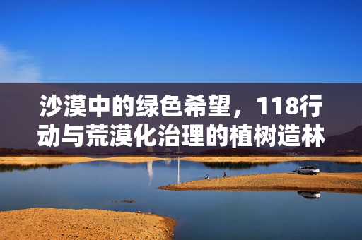 沙漠中的绿色希望,118行动与荒漠化治理的植树造林与草方格实践