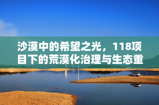 沙漠中的希望之光,118项目下的荒漠化治理与生态重建