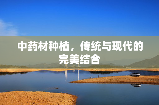 中药材种植,传统与现代的完美结合