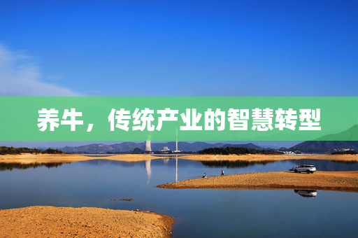 养牛,传统产业的智慧转型
