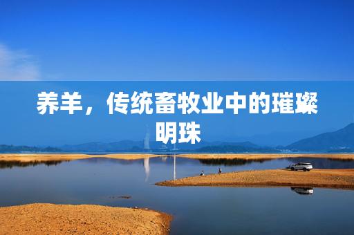 养羊,传统畜牧业中的璀璨明珠