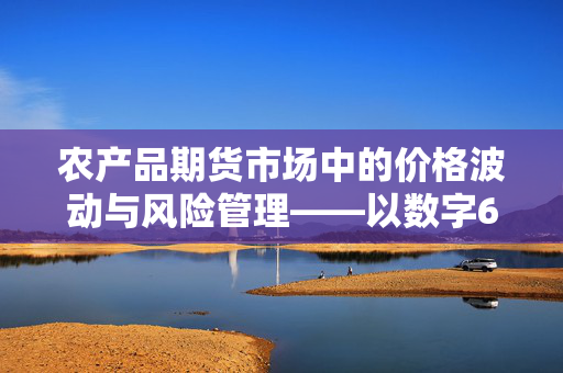 农产品期货市场中的价格波动与风险管理——以数字67为例