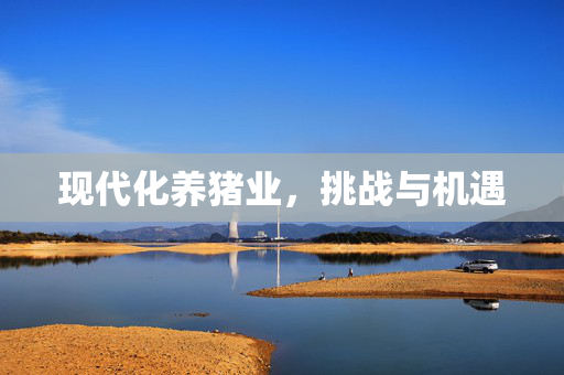 现代化养猪业，挑战与机遇