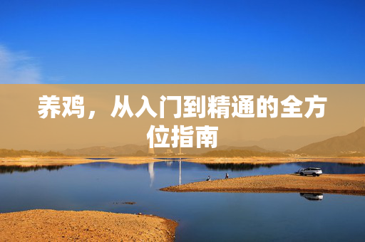 养鸡,从入门到精通的全方位指南