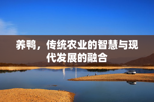 养鸭,传统农业的智慧与现代发展的融合