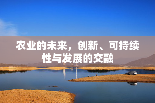 农业的未来,创新、可持续性与发展的交融