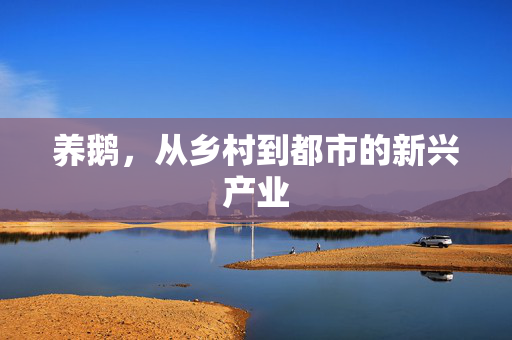 养鹅,从乡村到都市的新兴产业