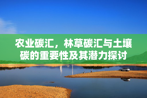 农业碳汇,林草碳汇与土壤碳的重要性及其潜力探讨