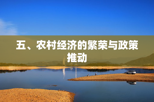 五、农村经济的繁荣与政策推动