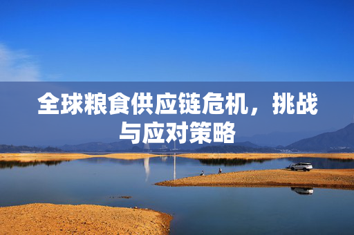 全球粮食供应链危机,挑战与应对策略