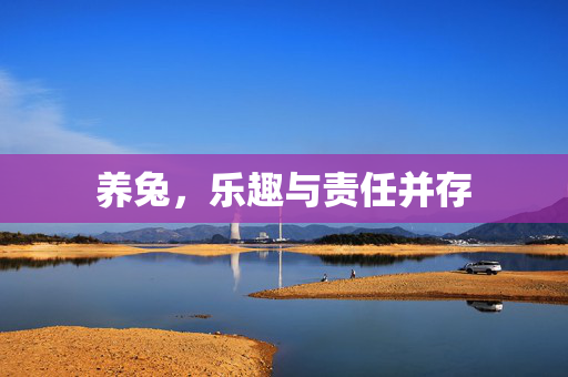 养兔,乐趣与责任并存