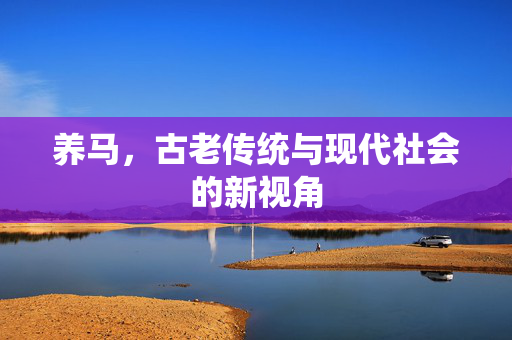 养马,古老传统与现代社会的新视角