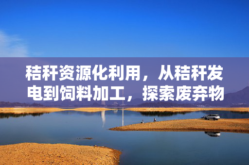 秸秆资源化利用,从秸秆发电到饲料加工,探索废弃物利用的新篇章