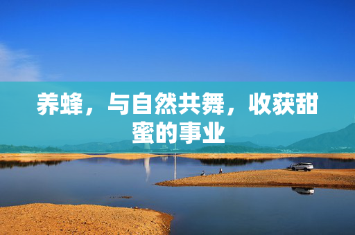 养蜂,与自然共舞,收获甜蜜的事业