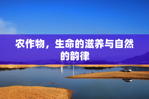 农作物,生命的滋养与自然的韵律
