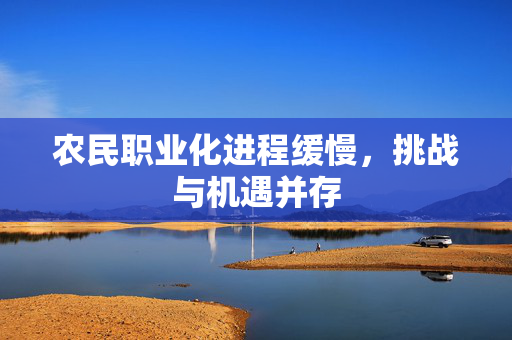 农民职业化进程缓慢，挑战与机遇并存