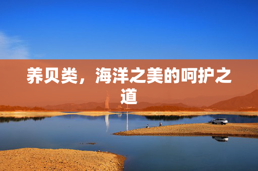 养贝类,海洋之美的呵护之道